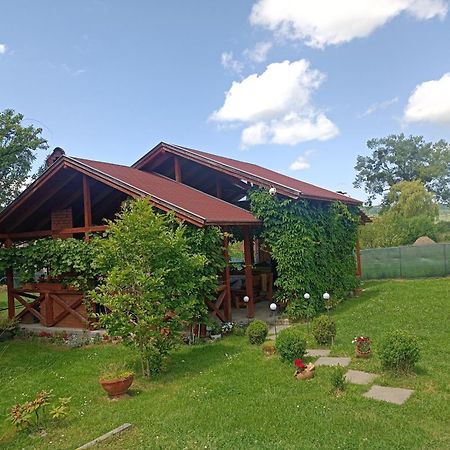 Nárcisz B&B Corund  Esterno foto
