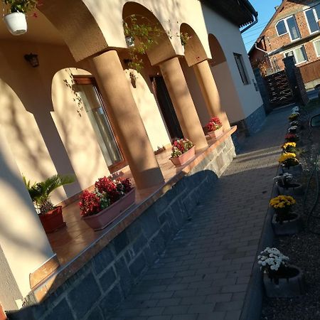 Nárcisz B&B Corund  Esterno foto