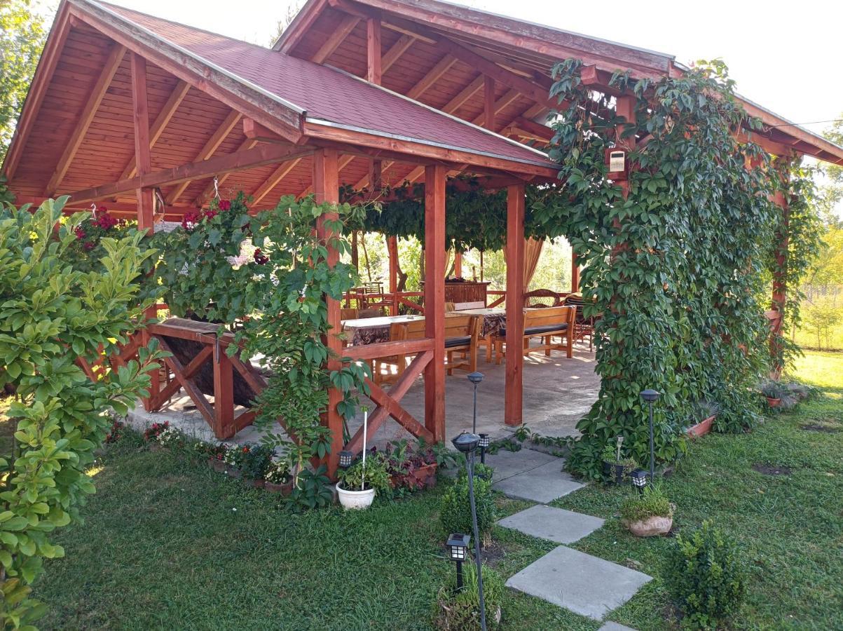 Nárcisz B&B Corund  Esterno foto