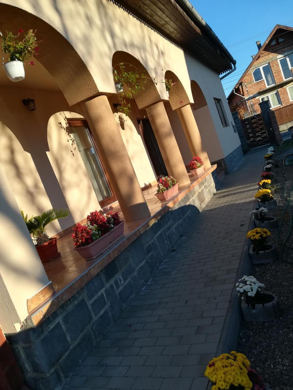Nárcisz B&B Corund  Esterno foto