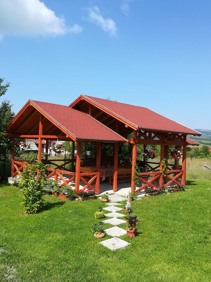 Nárcisz B&B Corund  Esterno foto