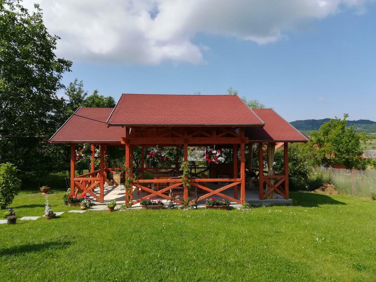 Nárcisz B&B Corund  Esterno foto