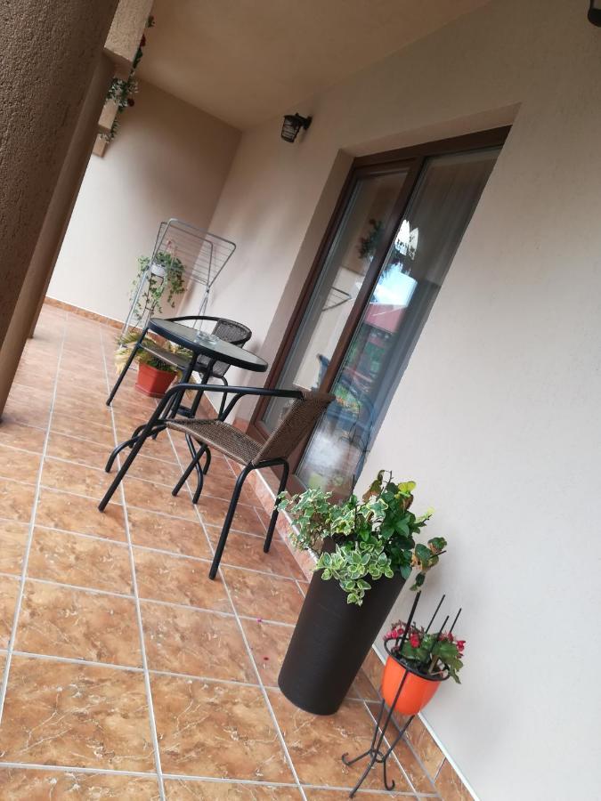Nárcisz B&B Corund  Esterno foto