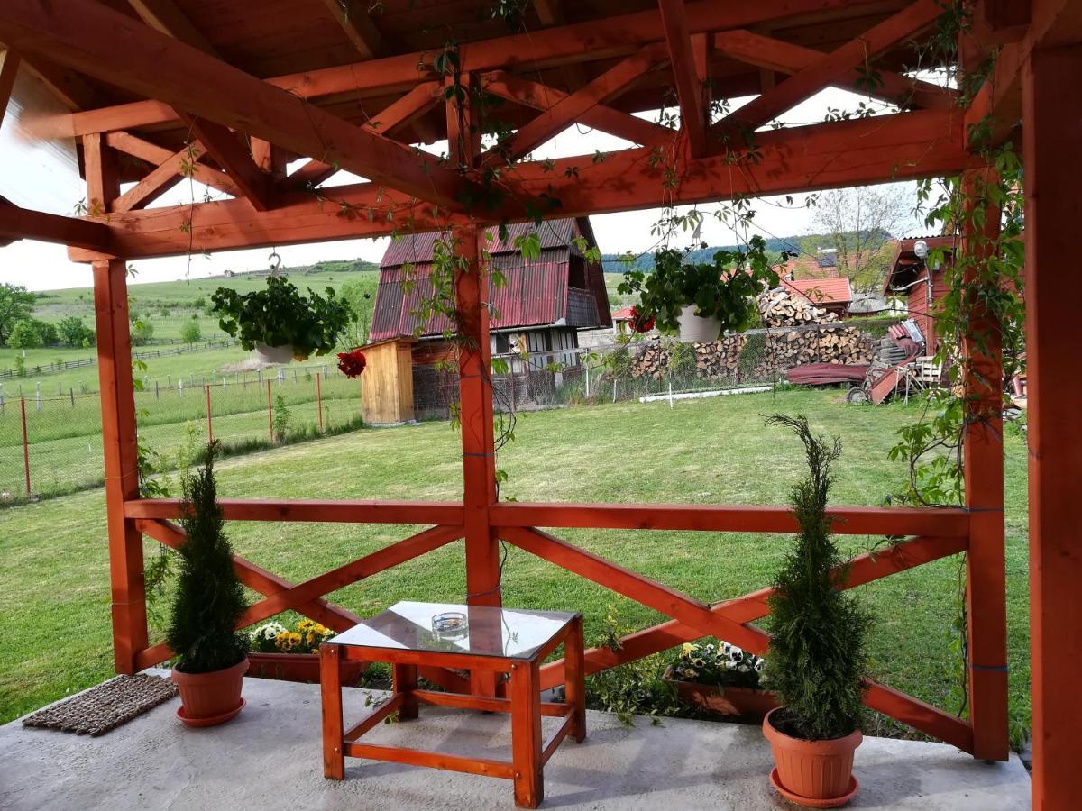 Nárcisz B&B Corund  Esterno foto