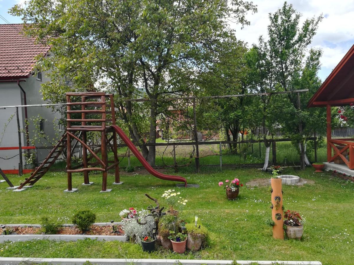 Nárcisz B&B Corund  Esterno foto